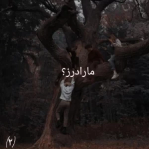 کاور