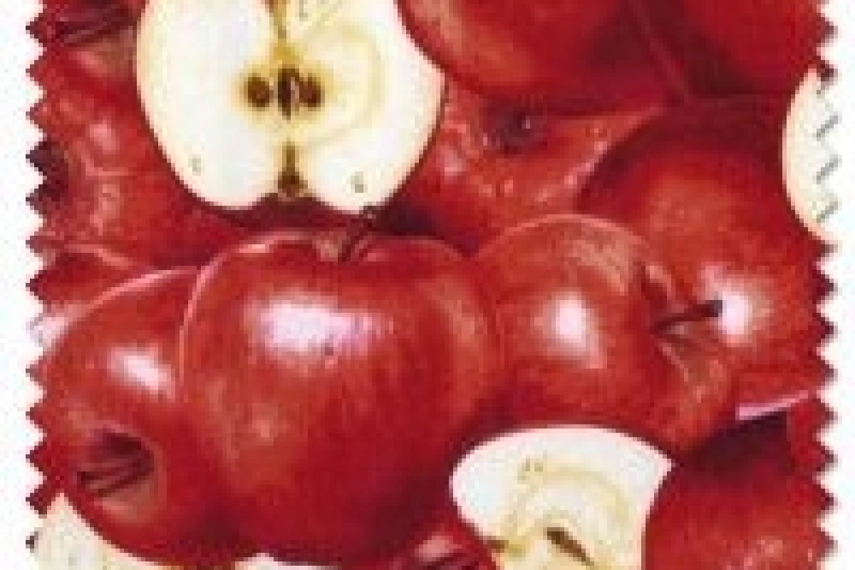 عکس روش هــای افــزایـش تـمرکـز ⢘