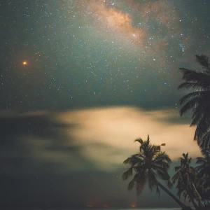 کاور