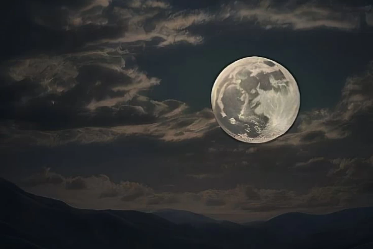 عکس در این دنیا چه می‌گذرد؟