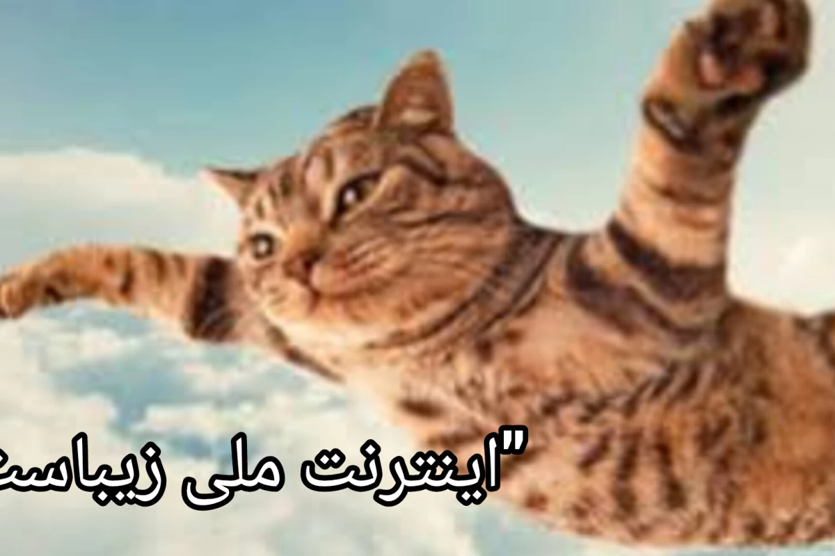 عکس میم به سبک حق پسندان