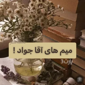 عکس میم ( 𝘱𝘢𝘳𝘵 𝟹 )