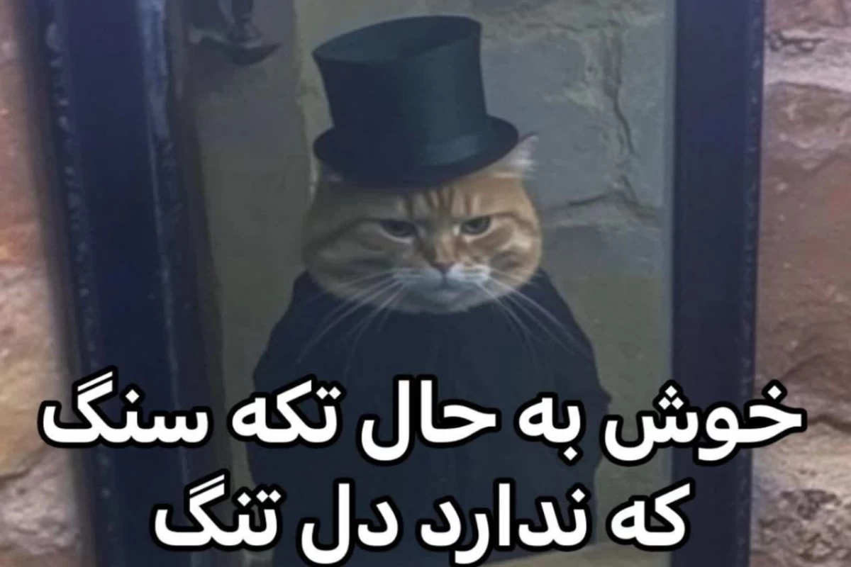 عکس میم مود.. ⁵
