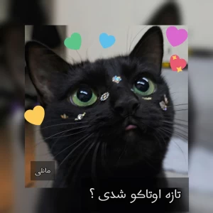 کاور