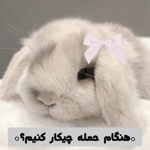 عکس هنگام حم‌له چیکار کنیم؟