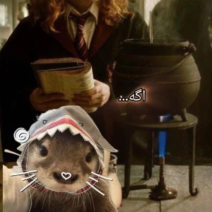 کاور