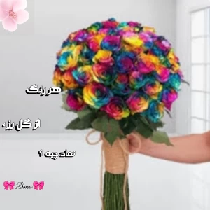 کاور