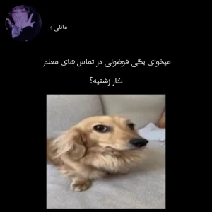 کاور