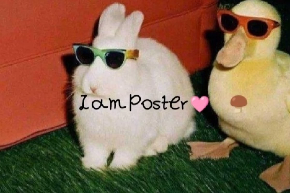 عکس چالش با کاربرا🫴