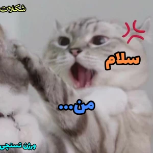 کاور
