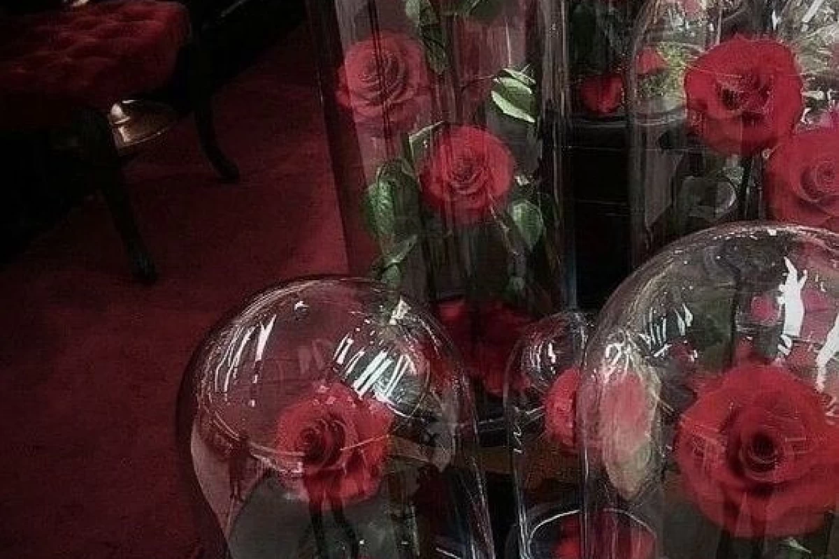 عکس موجودات افسانه ای که مردم...