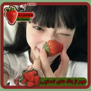 عکس میم از باگ های تستچی