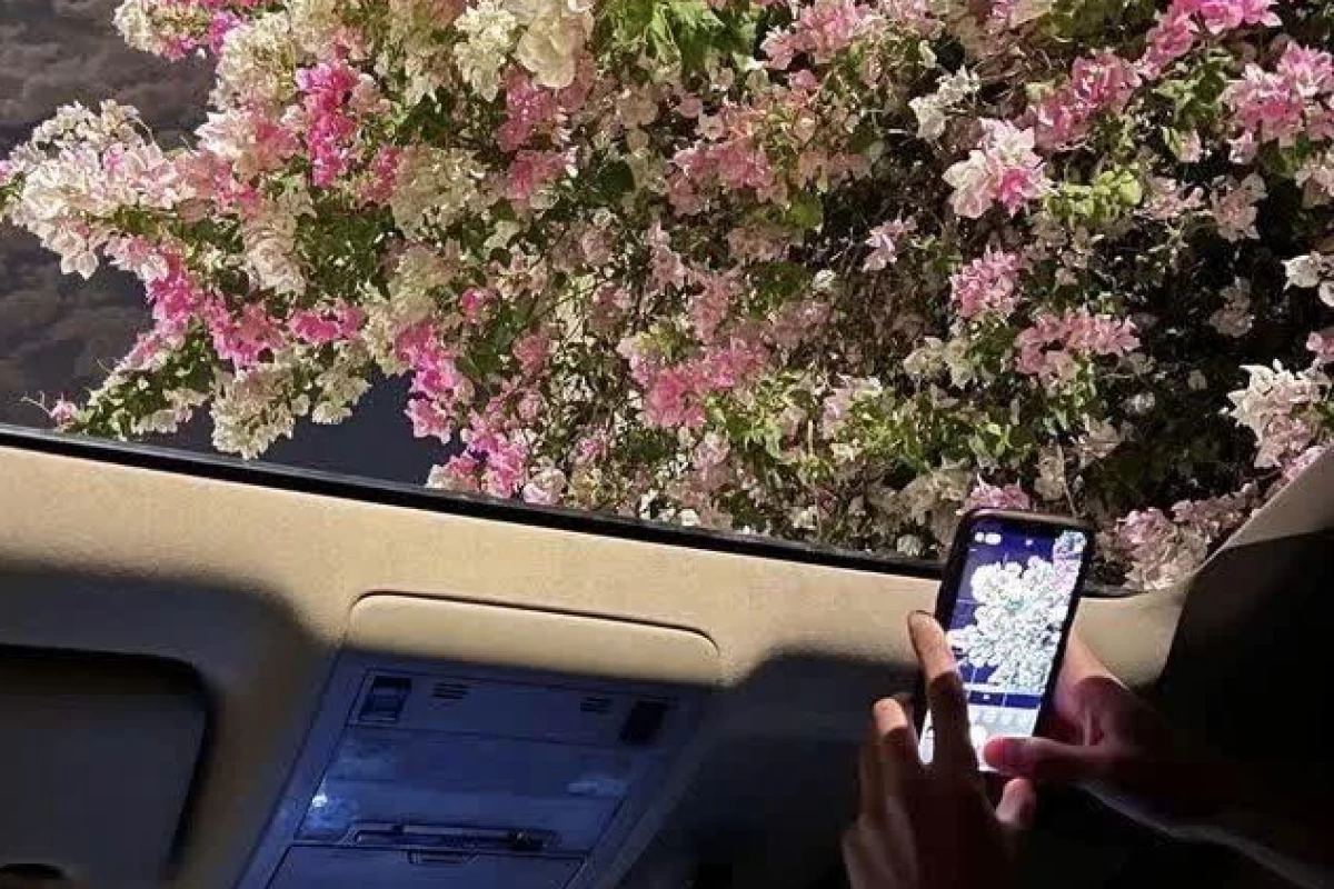 عکس چیزایی که شاید ندونی 🪷