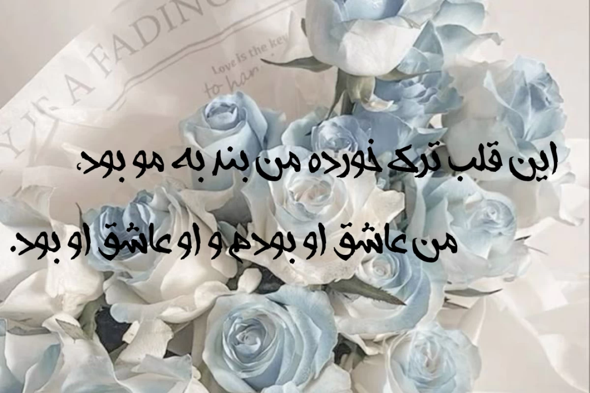 عکس اعضای اسکیز سفیر چه برندی هستند؟