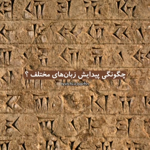 کاور