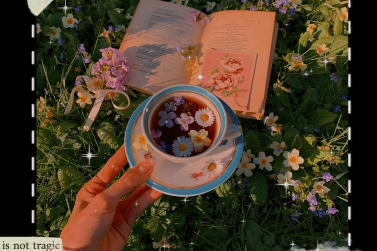 عکس بیو۲🌺