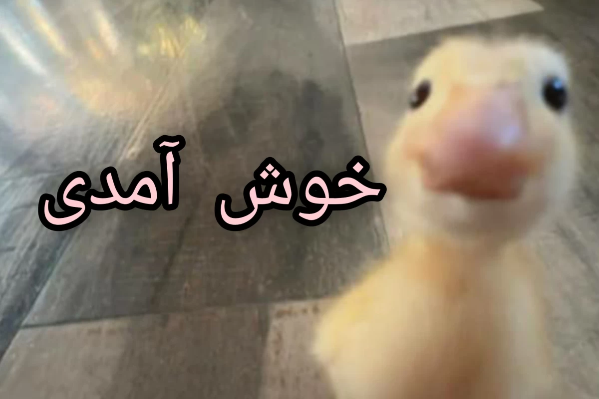 عکس من کاربر دسته ی اطلاعات عمومی هستم