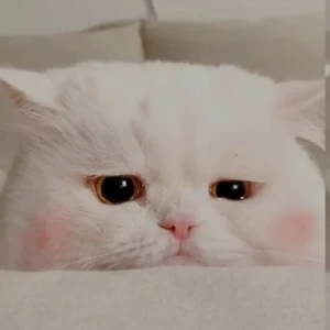 عکس بخندیم