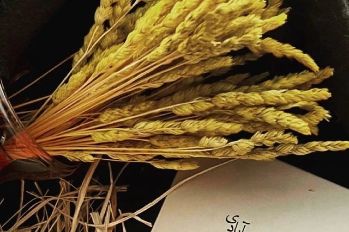 عکس اویی که نبود؛