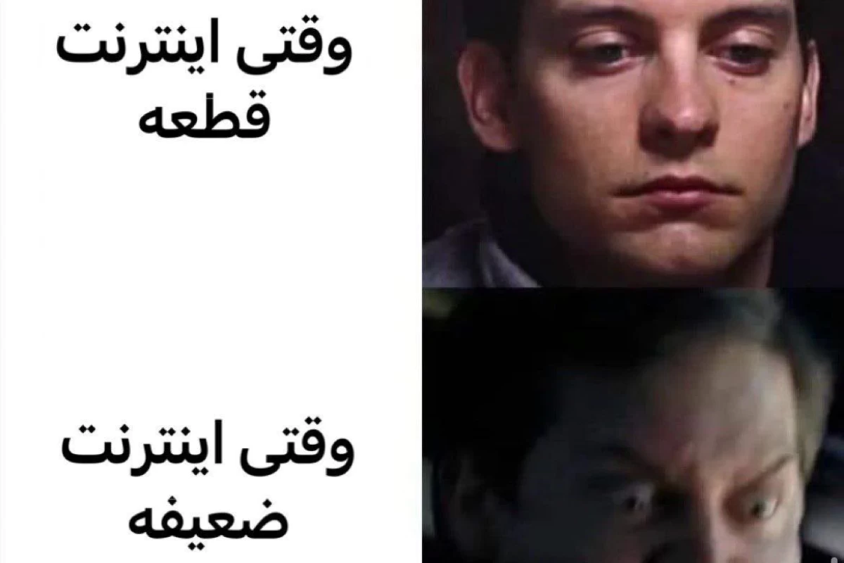 عکس میم (طنز)