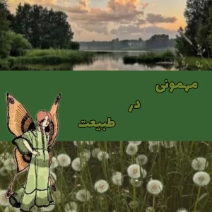کاور