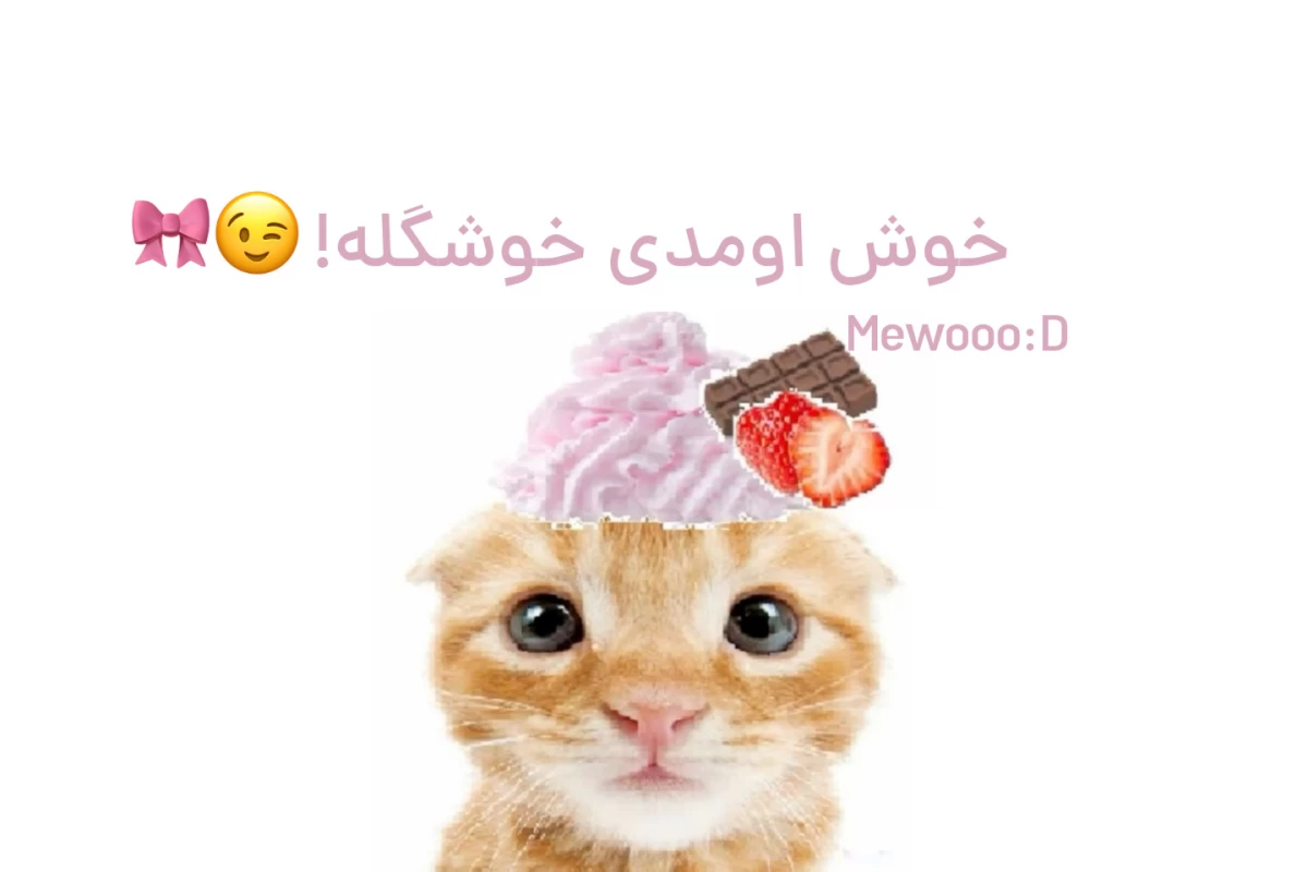 عکس کارایی‌که‌میتونی‌توی‌تابستون‌انجام‌بدی!꩜
