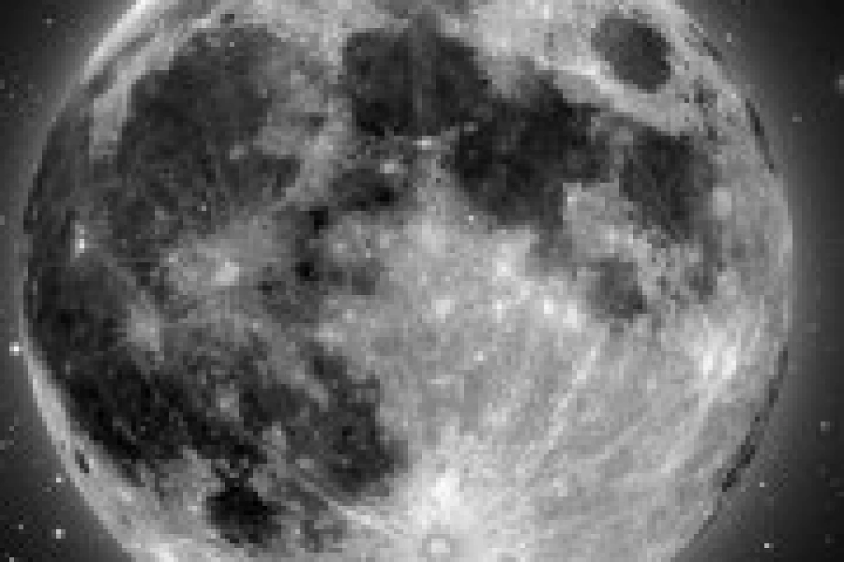 عکس میم از فرفریا