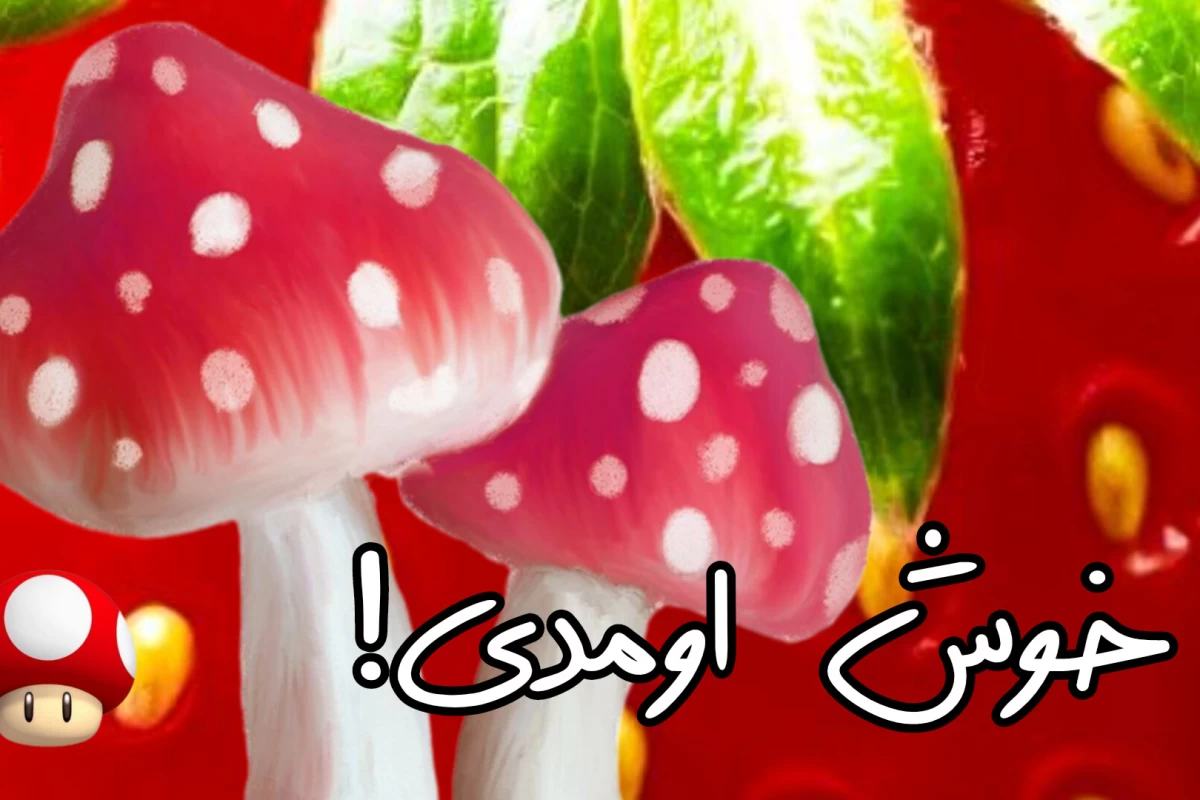 عکس هیس شو!