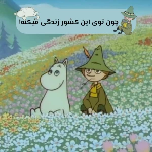 کاور