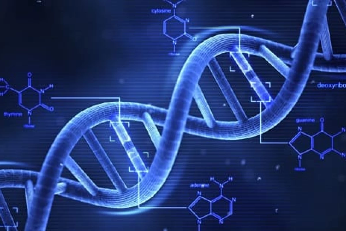 عکس تاثیر DNA بر حل شدن پرونده های جنایی