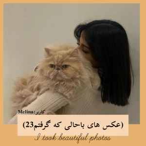 کاور