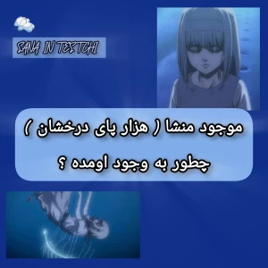 کاور