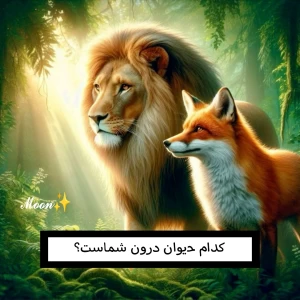 کاور