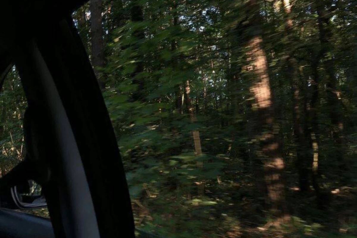 عکس رویایی دور..