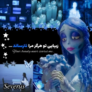 کاور