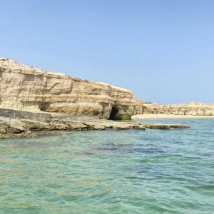 کاور