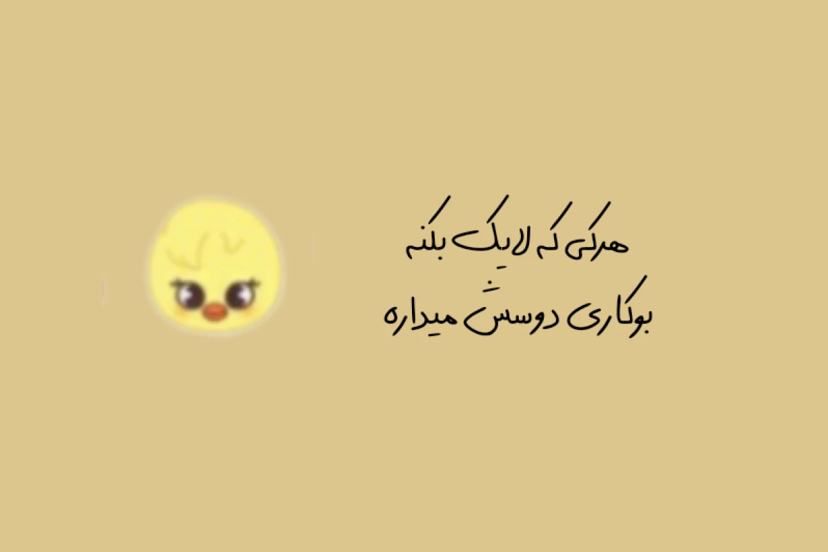 عکس x: کاش حداقل یک روز..