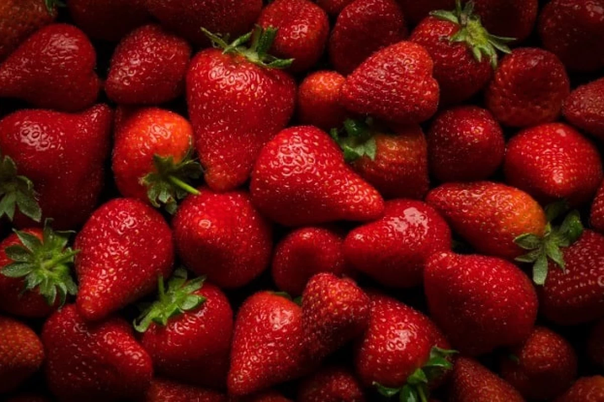 عکس کیک توت فرنگی؛