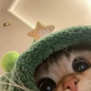 کاور