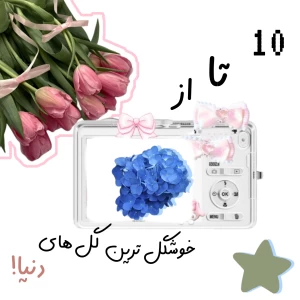 کاور