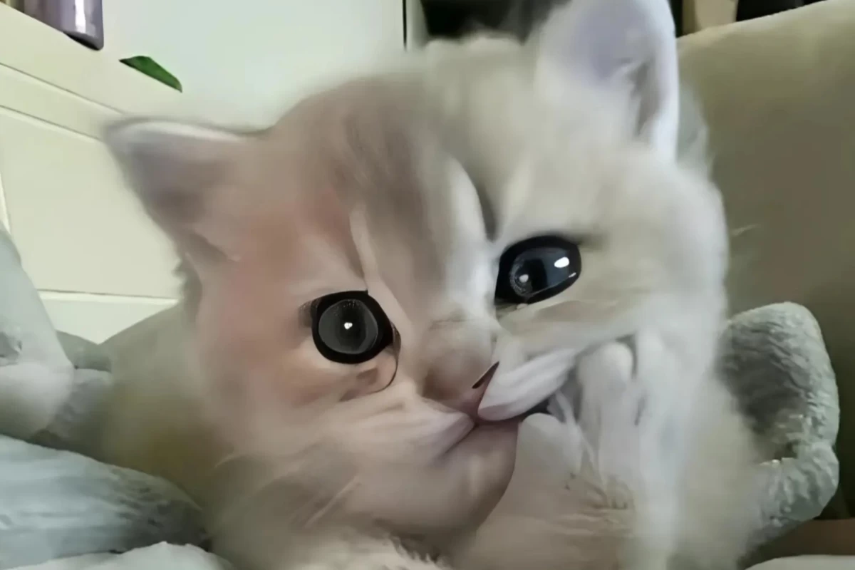 عکس 𝘕𝘪★𝘭𝘢