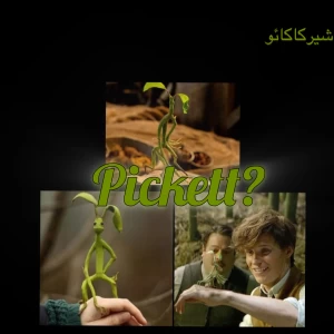 کاور