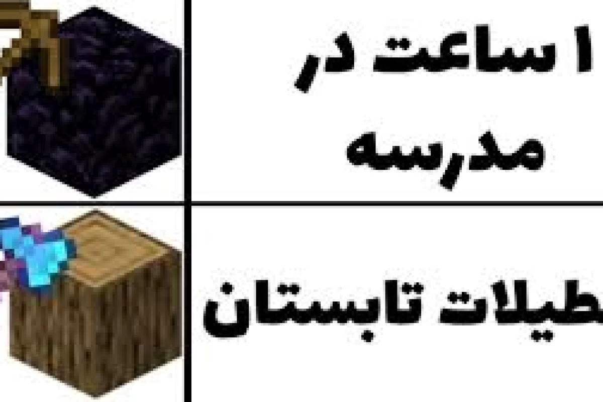 عکس میم های ماینکرفت