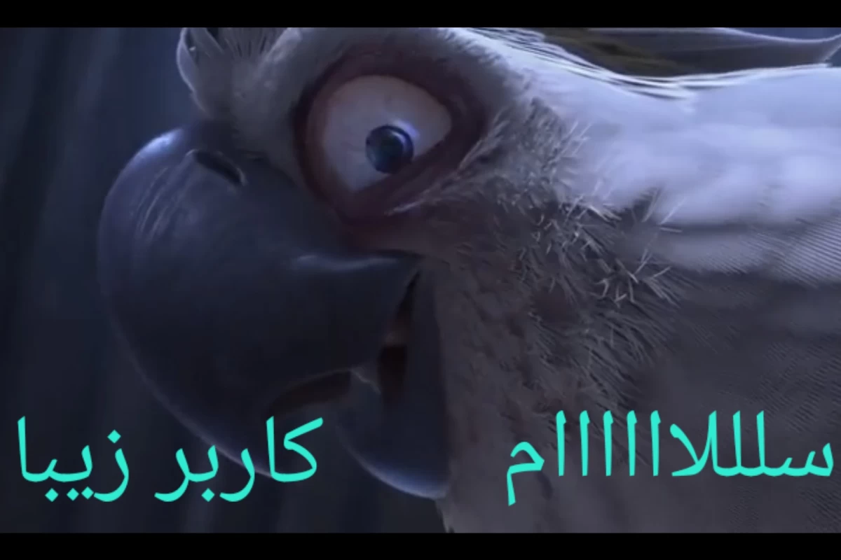 عکس میم از فیلم ریو p1