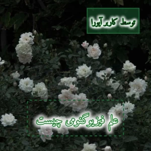 کاور