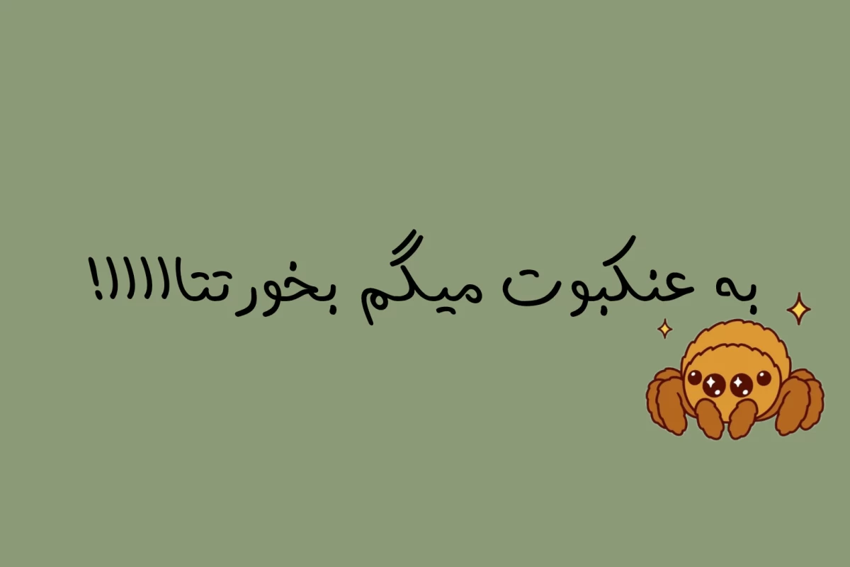 عکس عنکبوت جهنده
