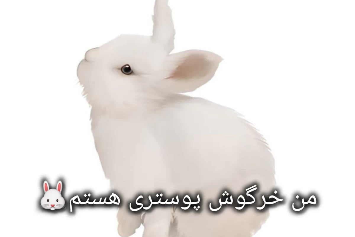 عکس صدام کن چون... پست مشترک