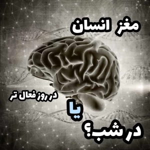 عکس مغز انسان در شب فعال تر است یا در روز؟