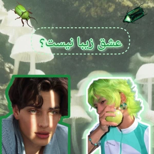 کاور
