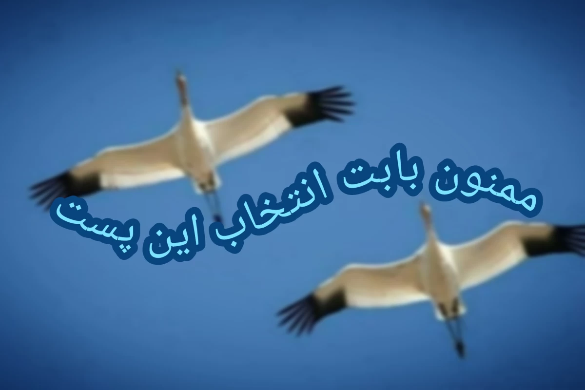 عکس ماجرای «امید» درنای سیبری